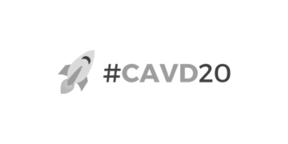 Logo - CAVD20